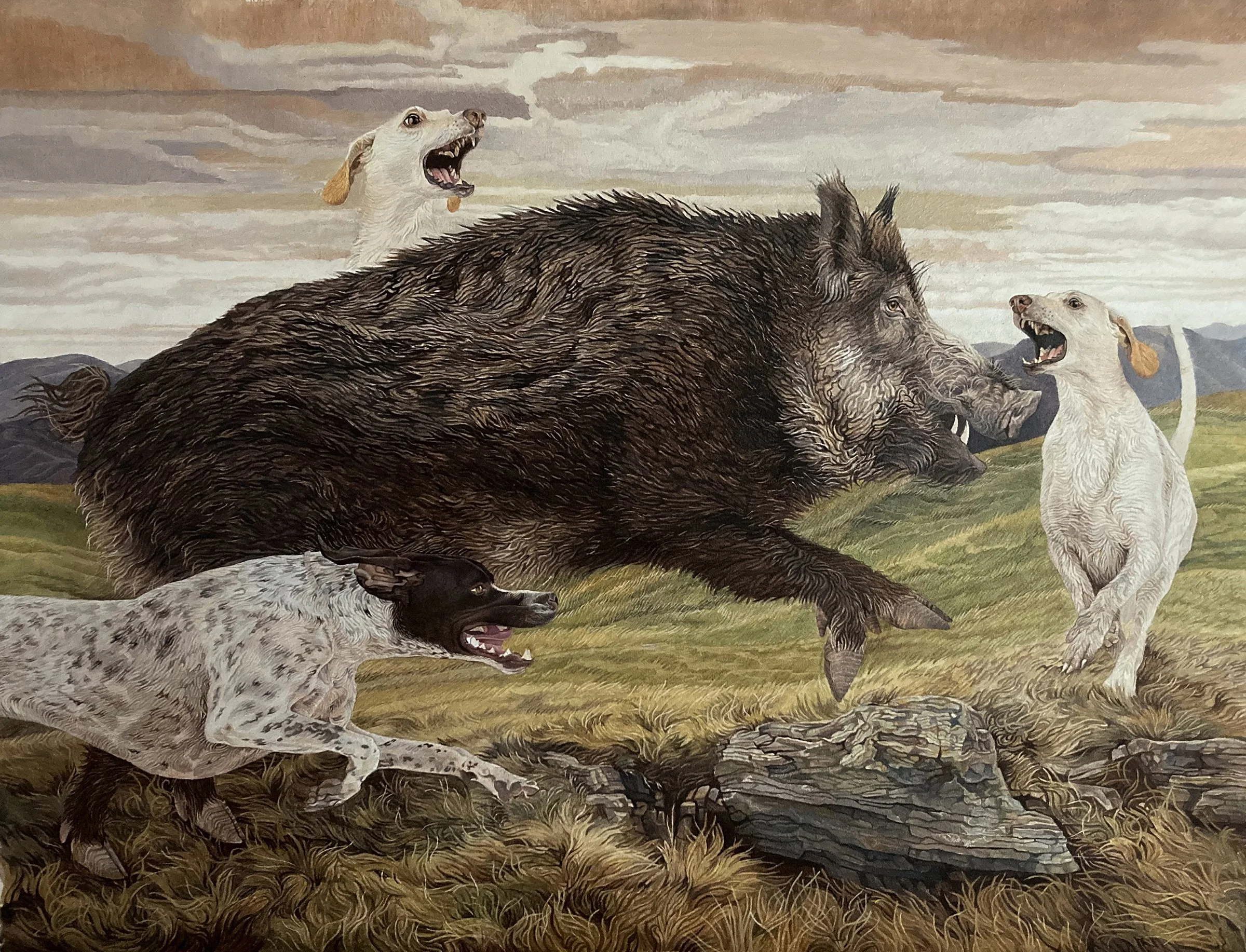boar.jpg