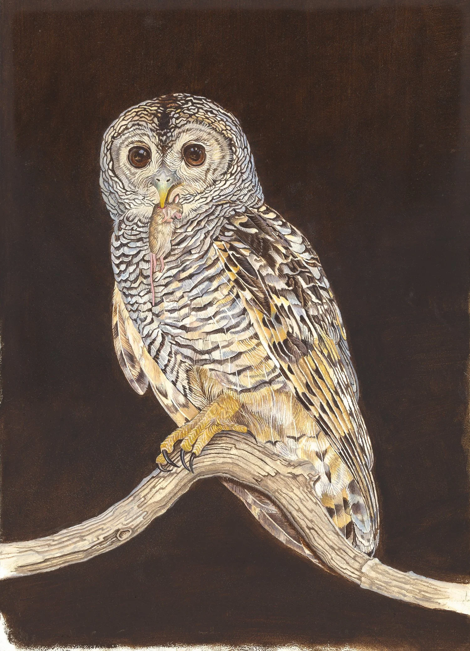 2022-09-27 Ellen Tanner 002.jpg