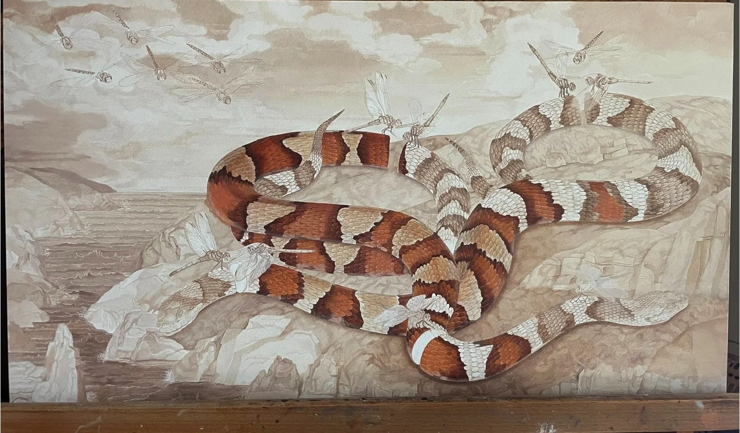 A vintage-style illustration of a large red, black, and white banded snake, possibly a rattlesnake, coiled on rocky terrain. Several transparent, sketched dragonflies are flying above and around the snake.