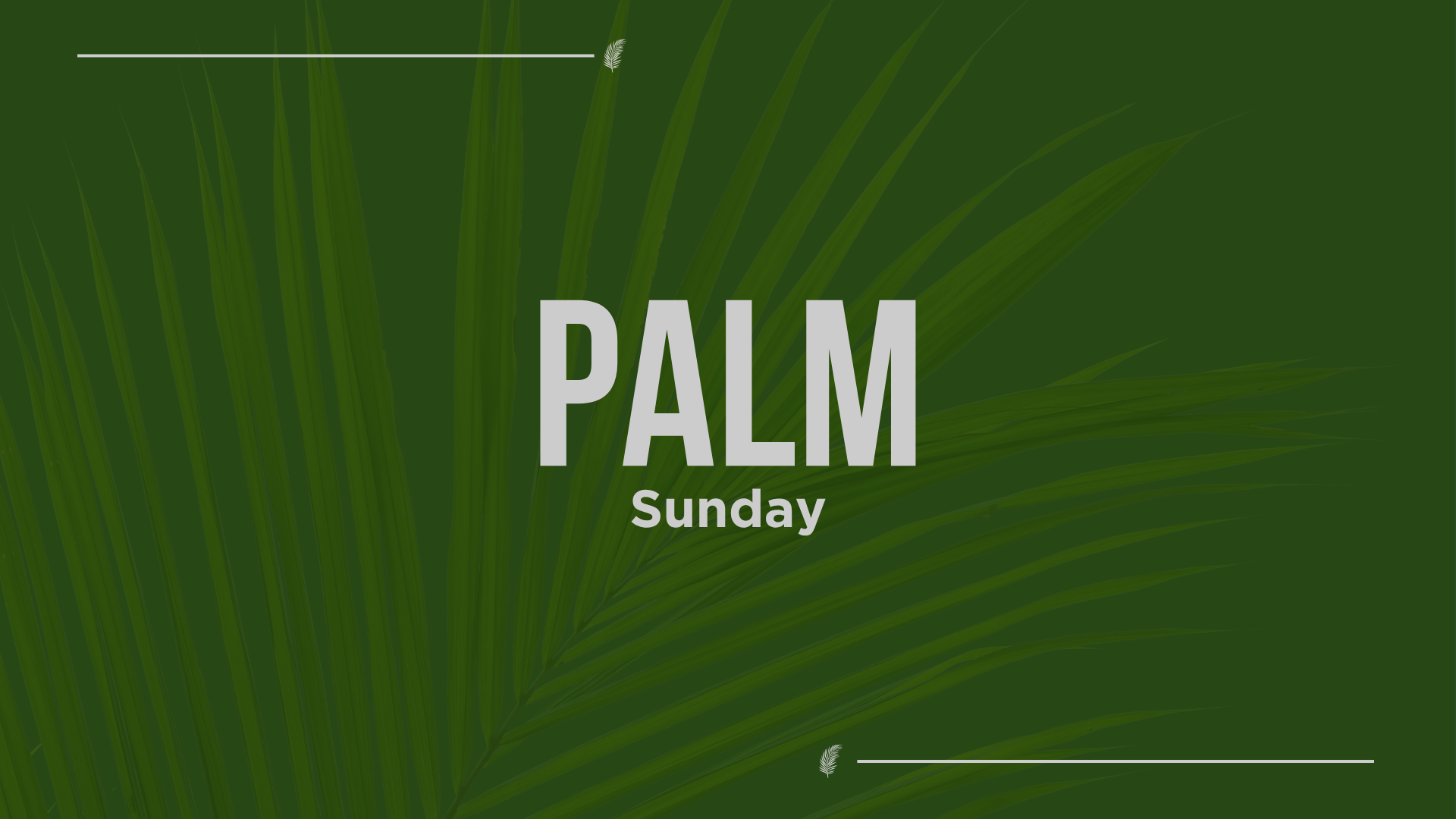 Palm Sunday - The 10.45