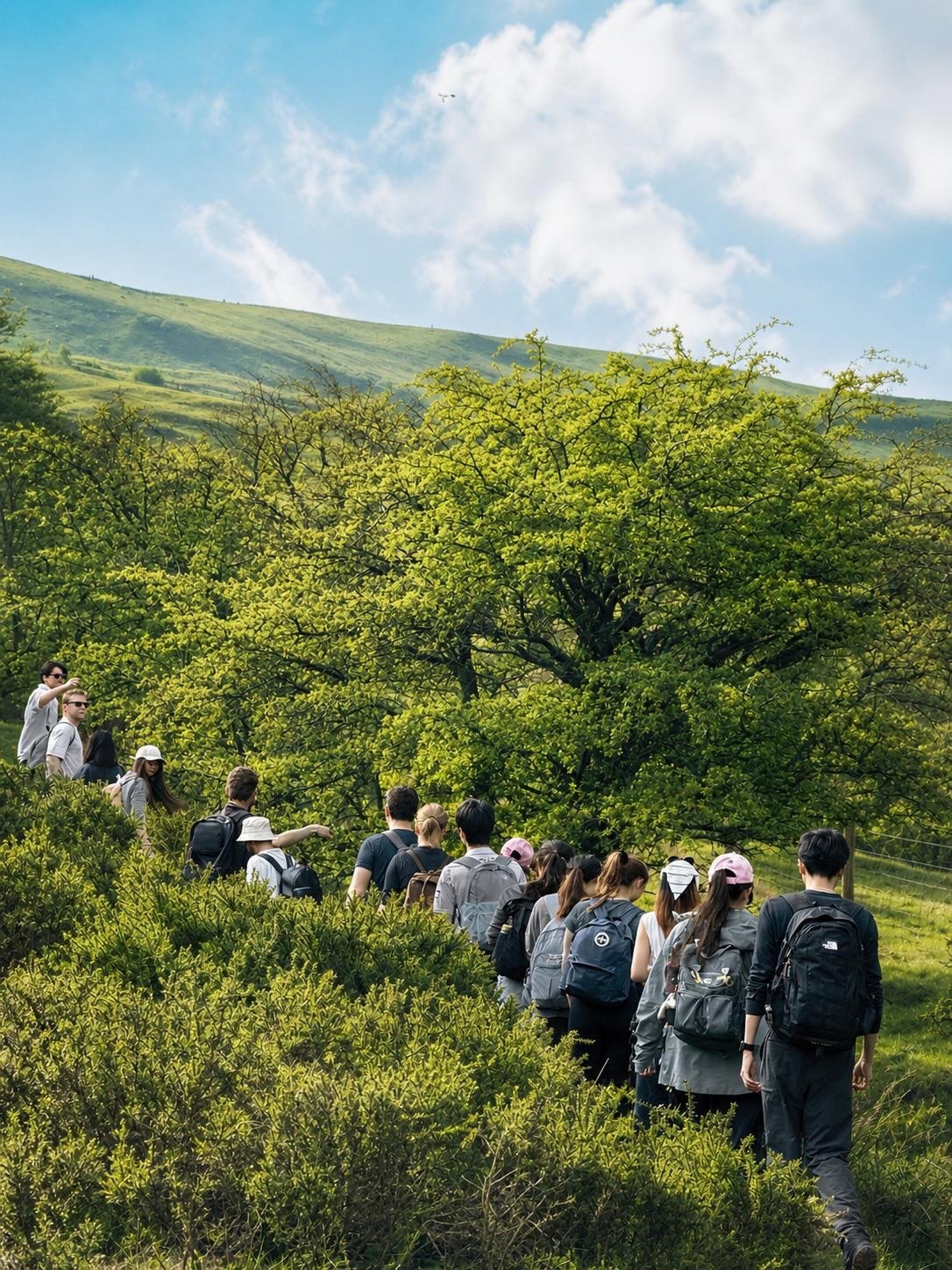 Our lovely time on the Student Walk in the Peaks ⛰️🌱🥾