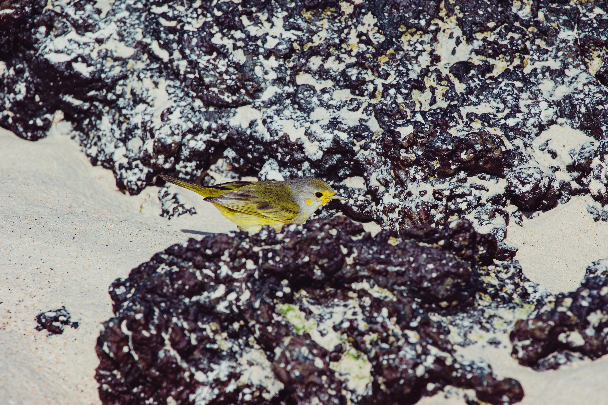 G75P2847.jpg