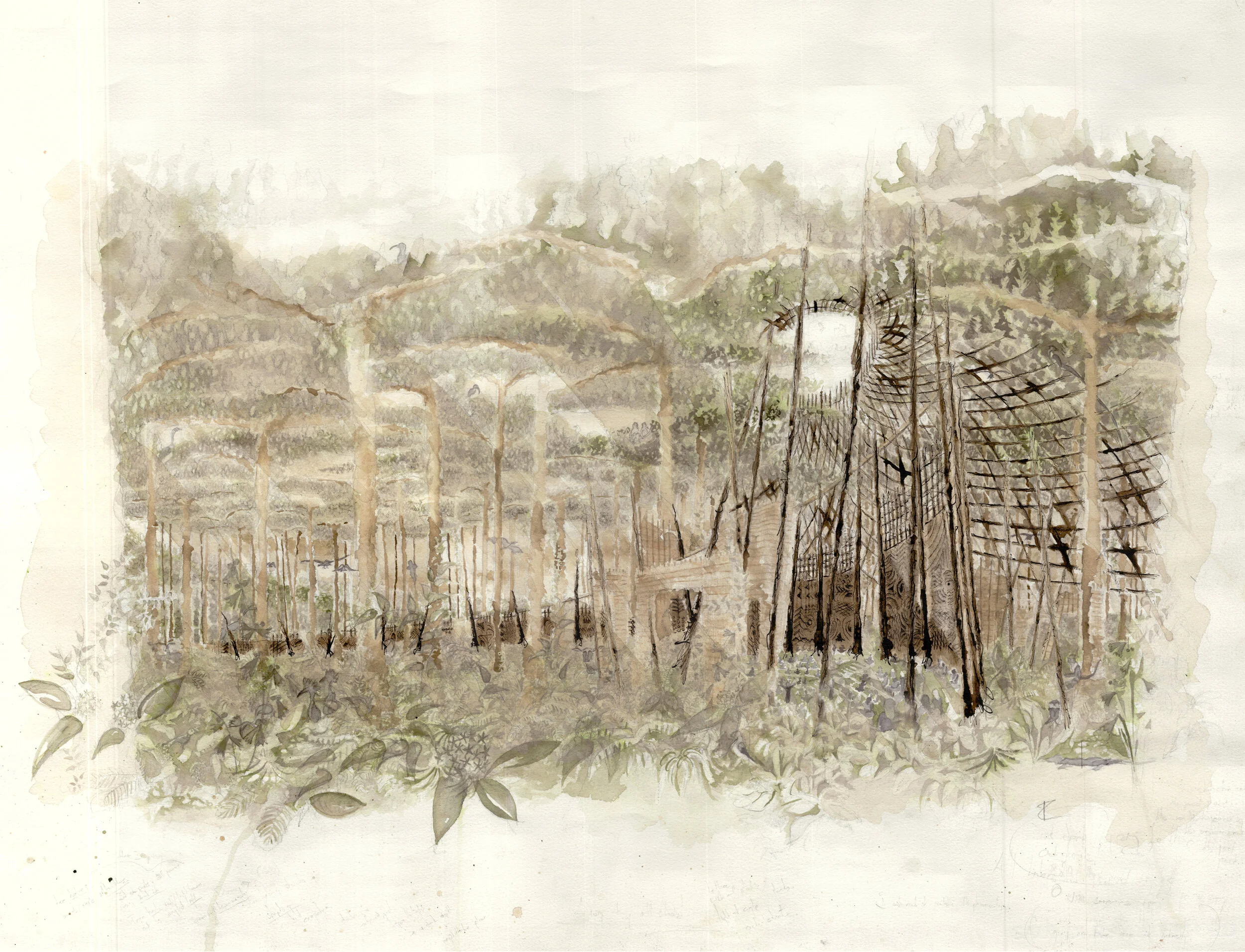Clearing in the Woods-edited-reduced further.jpg