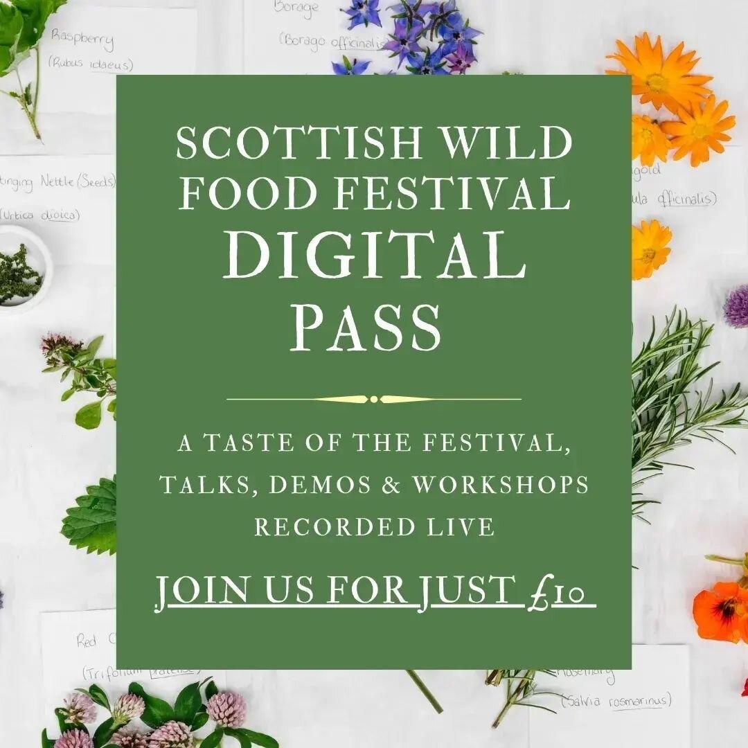 If you missed the festival or would like to see some of the workshops again, for the first time ever we have some of the workshops recorded and available as a digital pass 🥳
.
.
.
.
.
.
.
.
.
.

.
.
.
.
.
#scottishwildfood #foraging #foragingworksho