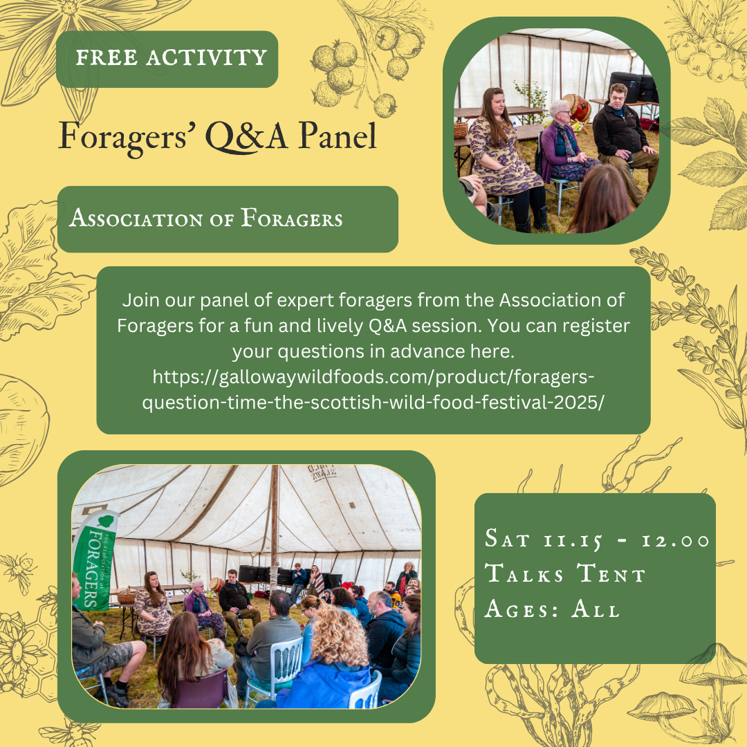 Foragers Q&A FREE SWFF 2025 IG template .png