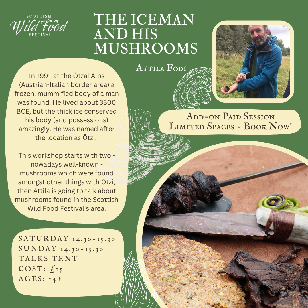 9_The Iceman and His Mushrooms  Paid IG.png