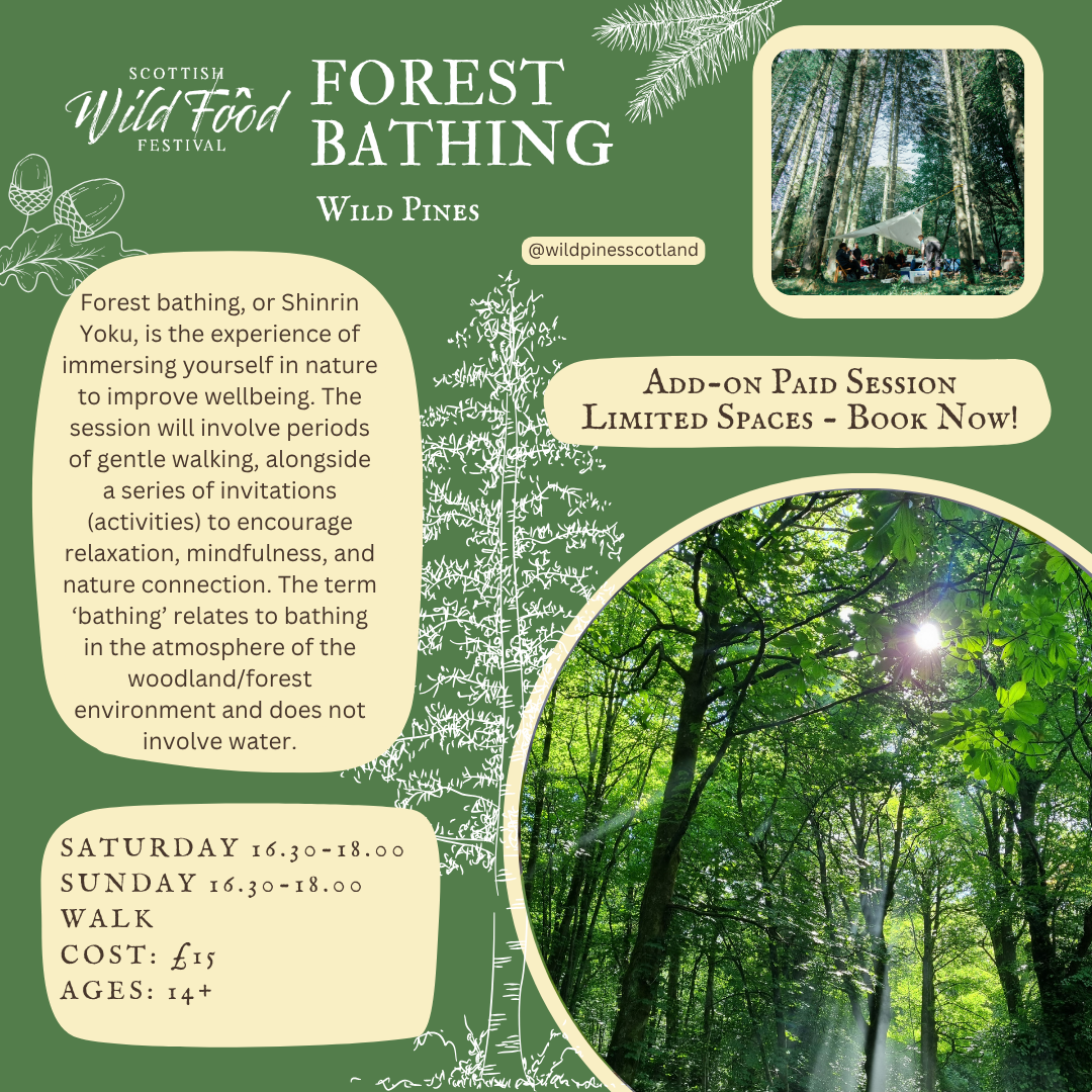 Forest Bathing SWFF Paid IG.png