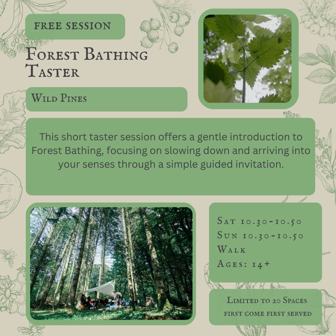 Introduction to Forest Bathing FREE SWFF 2026 IG.png