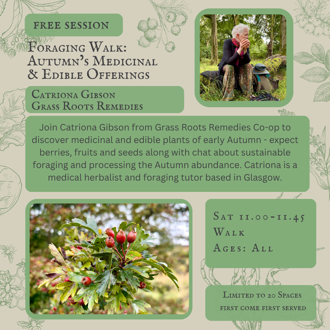 Grassroots Autumn Foraging Walk FREE SWFF 2026 IG.png