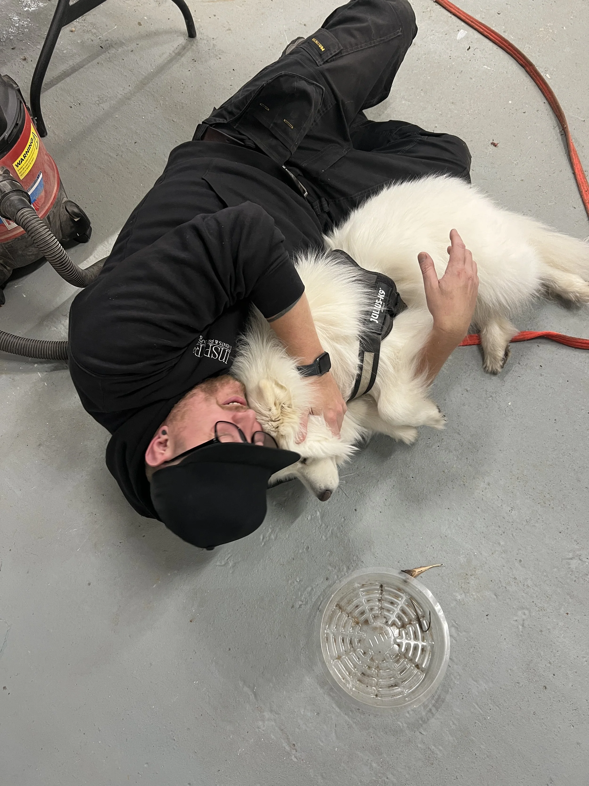 A person lying on the ground with a white dog, possibly a Husky, resting on their chest. The person is wearing black clothing, glasses, and a hat. There is a red vacuum cleaner and a round metal hairbrush on the gray floor.