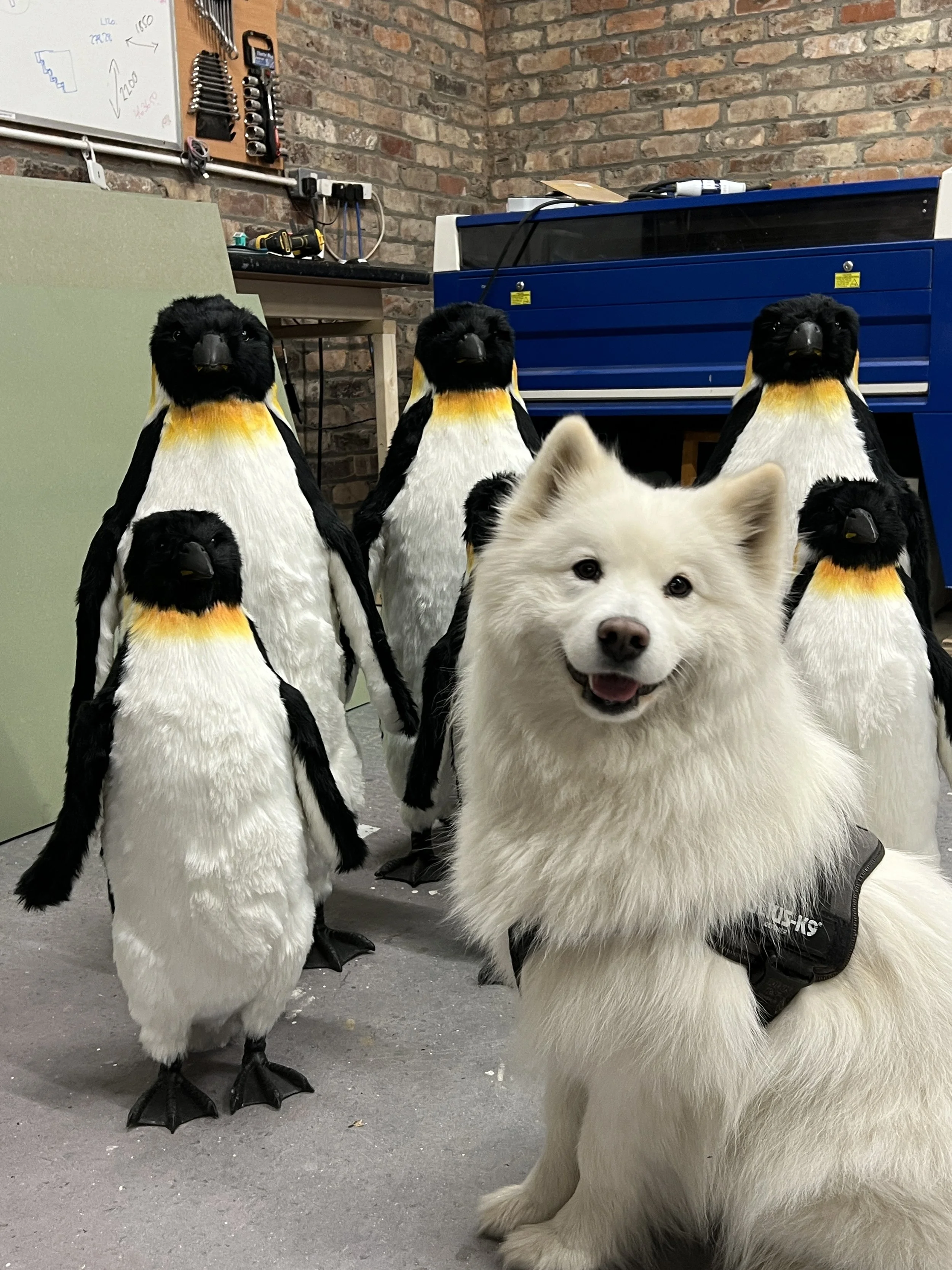 A group of life-sized penguin sculptures and a real Siberian Husky dog inside a workshop with brick walls and tools on a whiteboard.