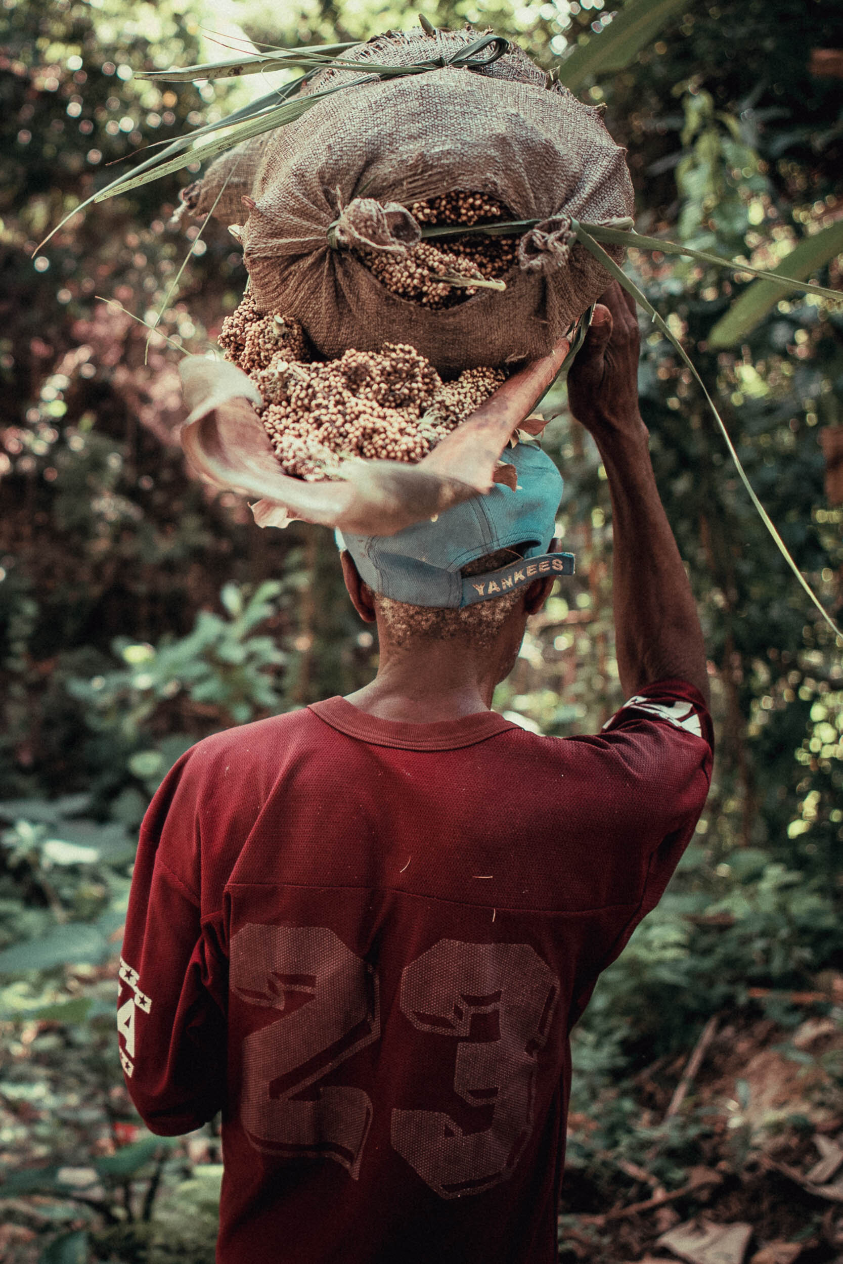 M.J, Kabic, Haïti