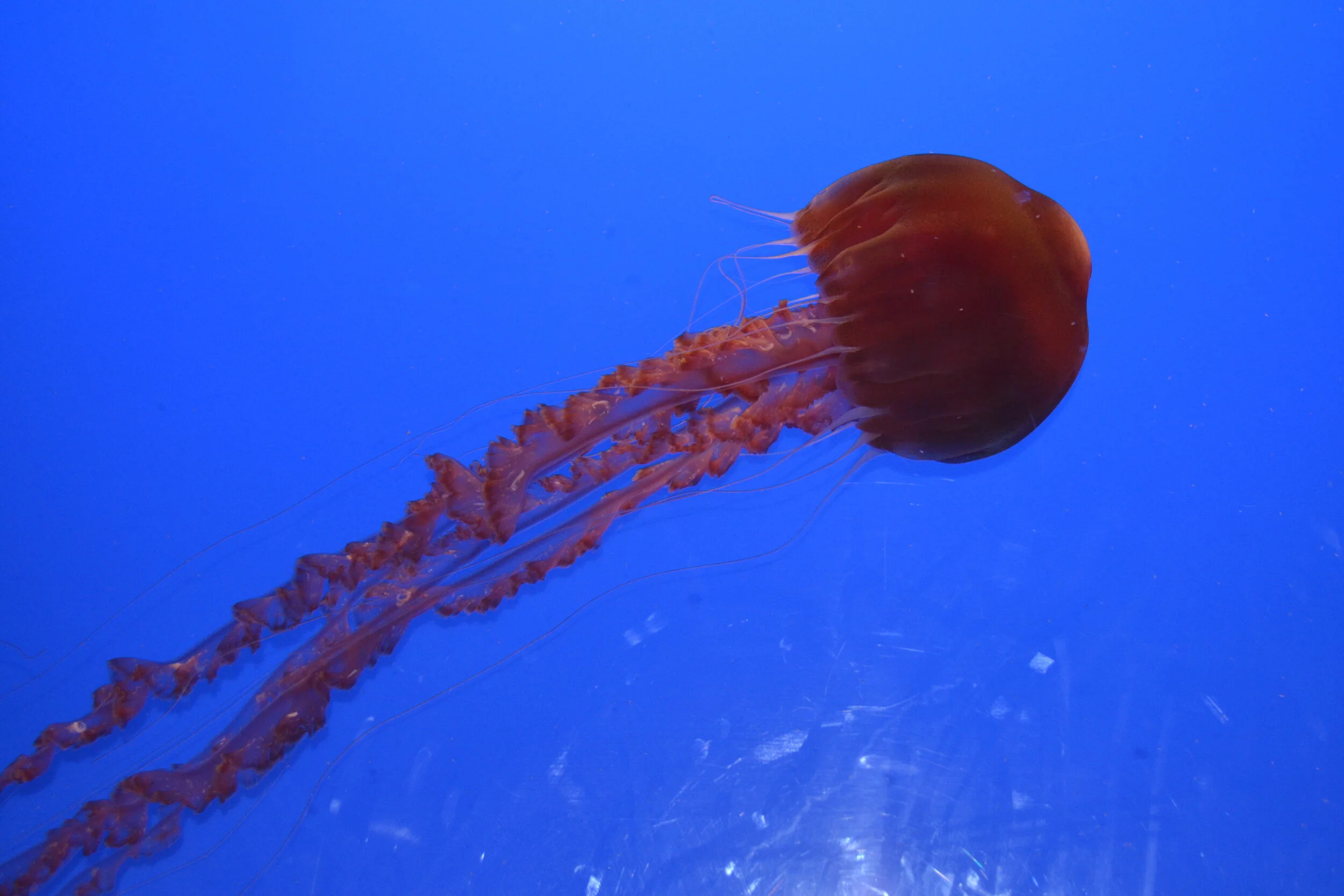 DSC_0289.jpg