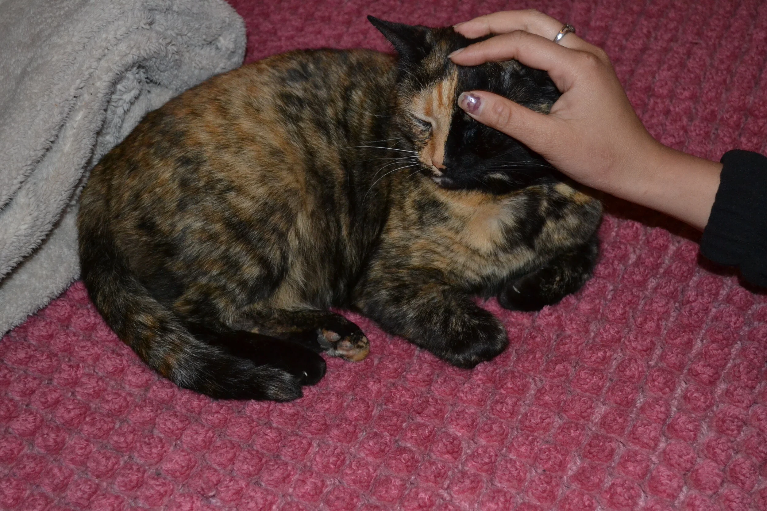 DSC_0587.jpg