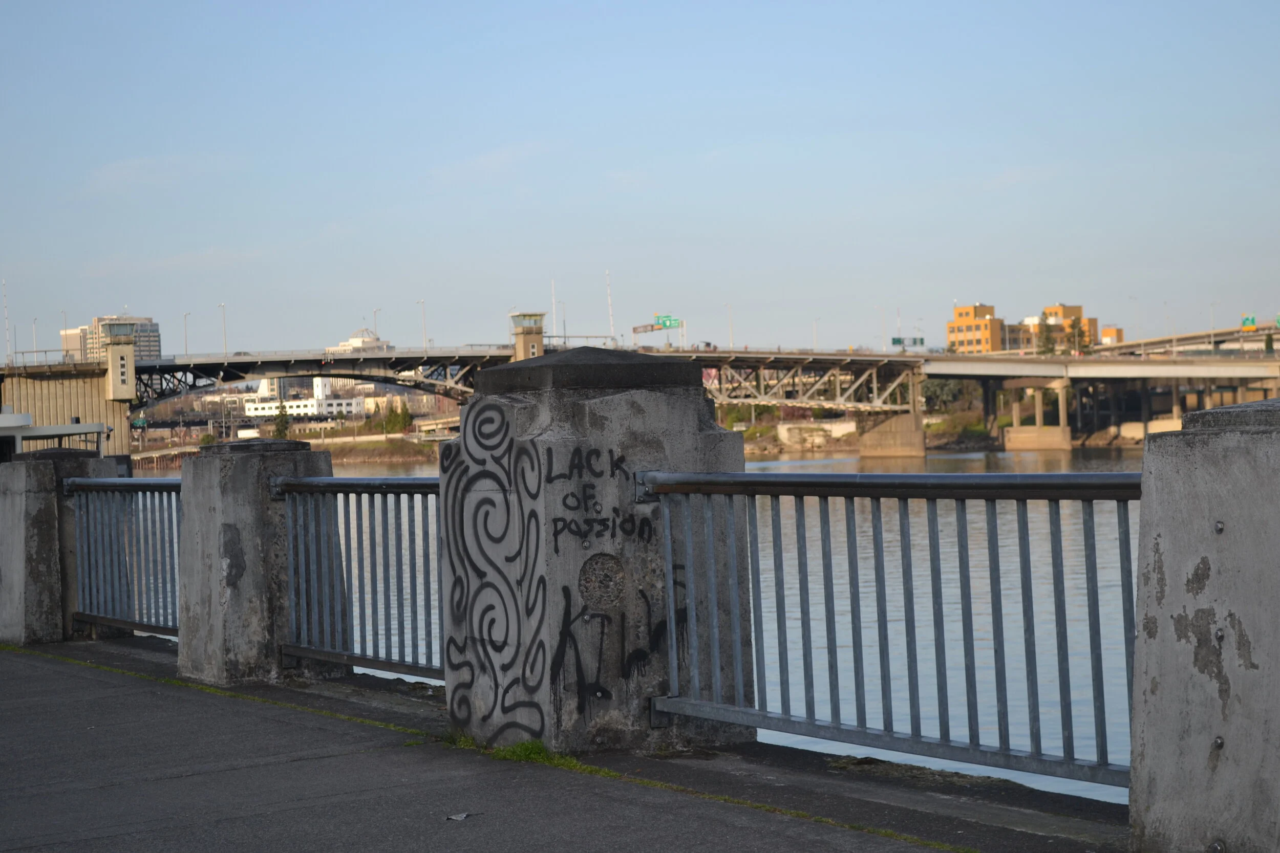 DSC_0846.jpg