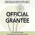 Pol-Project-.jpg