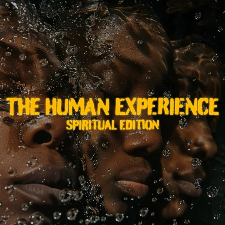 LP: THE HUMAN EXPERIENCE (DELUXE)