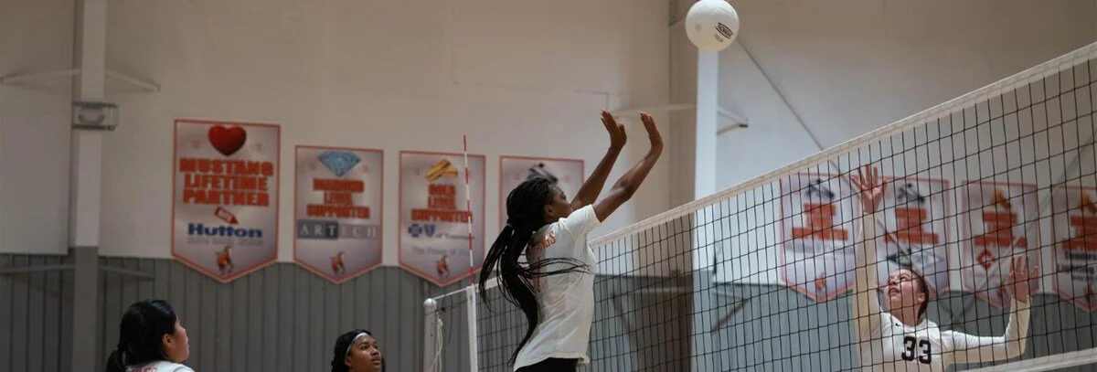Volleyball