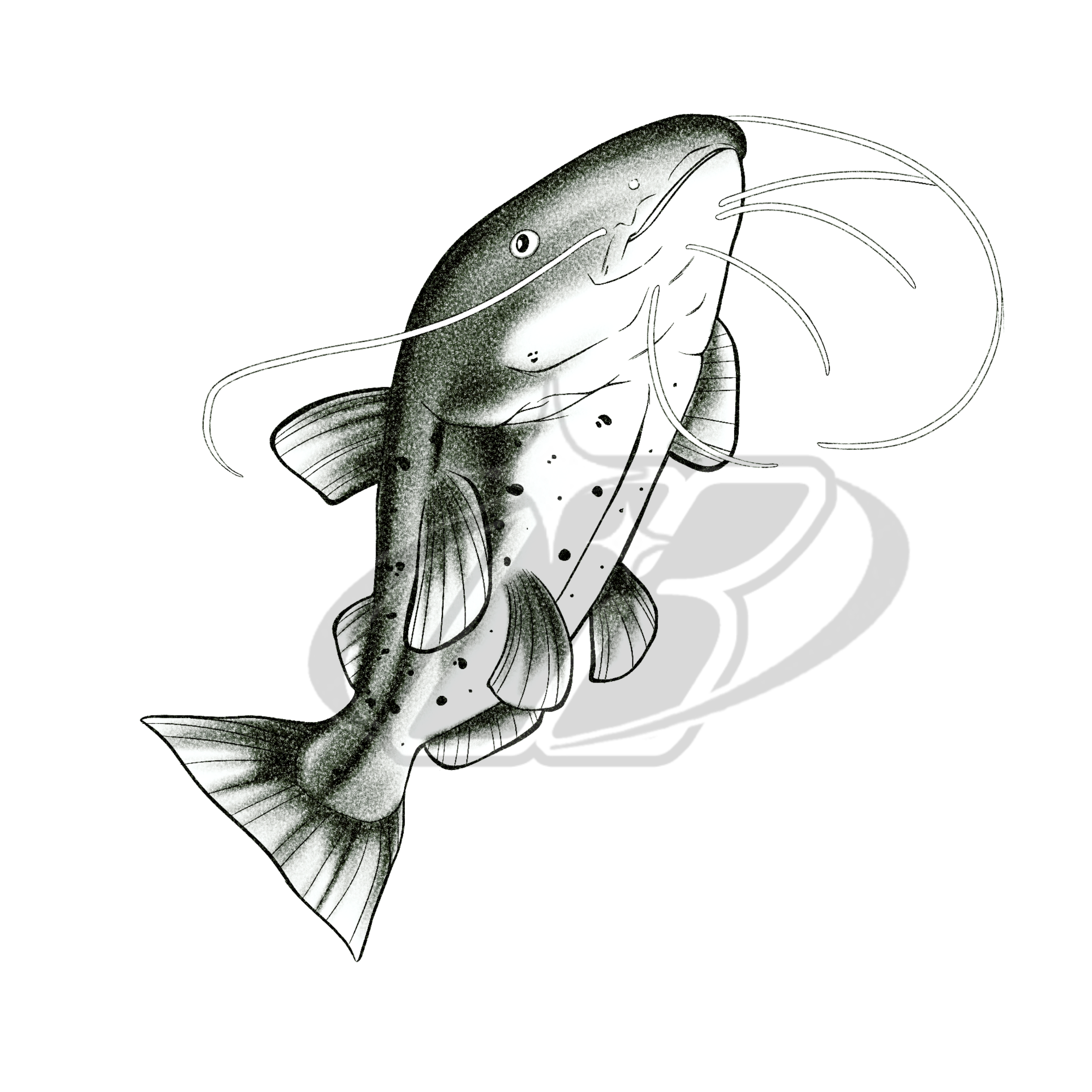 Catfish