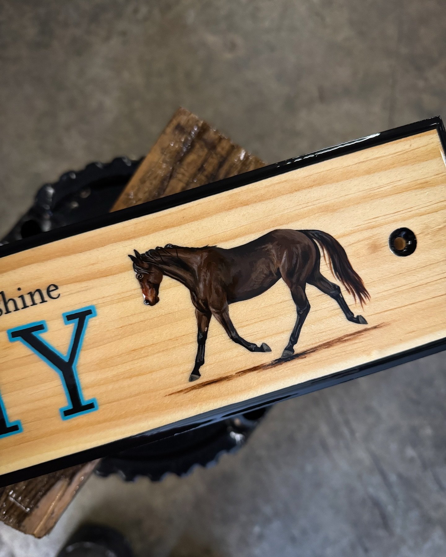 That fresh coat shine 🤩

Custom horse stall sign with custom hand painted portrait. 

While my Etsy shop may currently be closed, my email is always open.