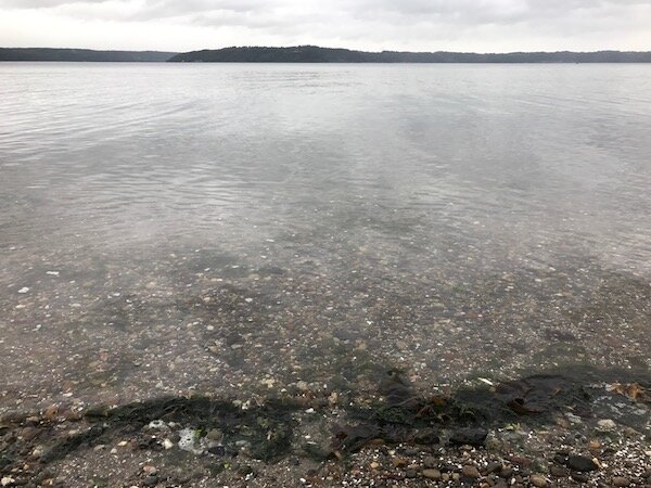 Lesbian Sex in Hotel Rooms of the Pacific Northwest: A Travelogue