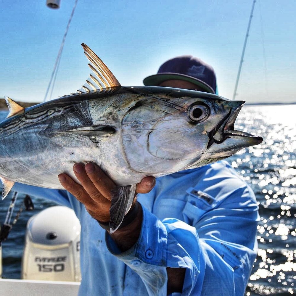 3-TAND Fly Reels are sealed fishing reels for freshwater or saltwater  anglers.