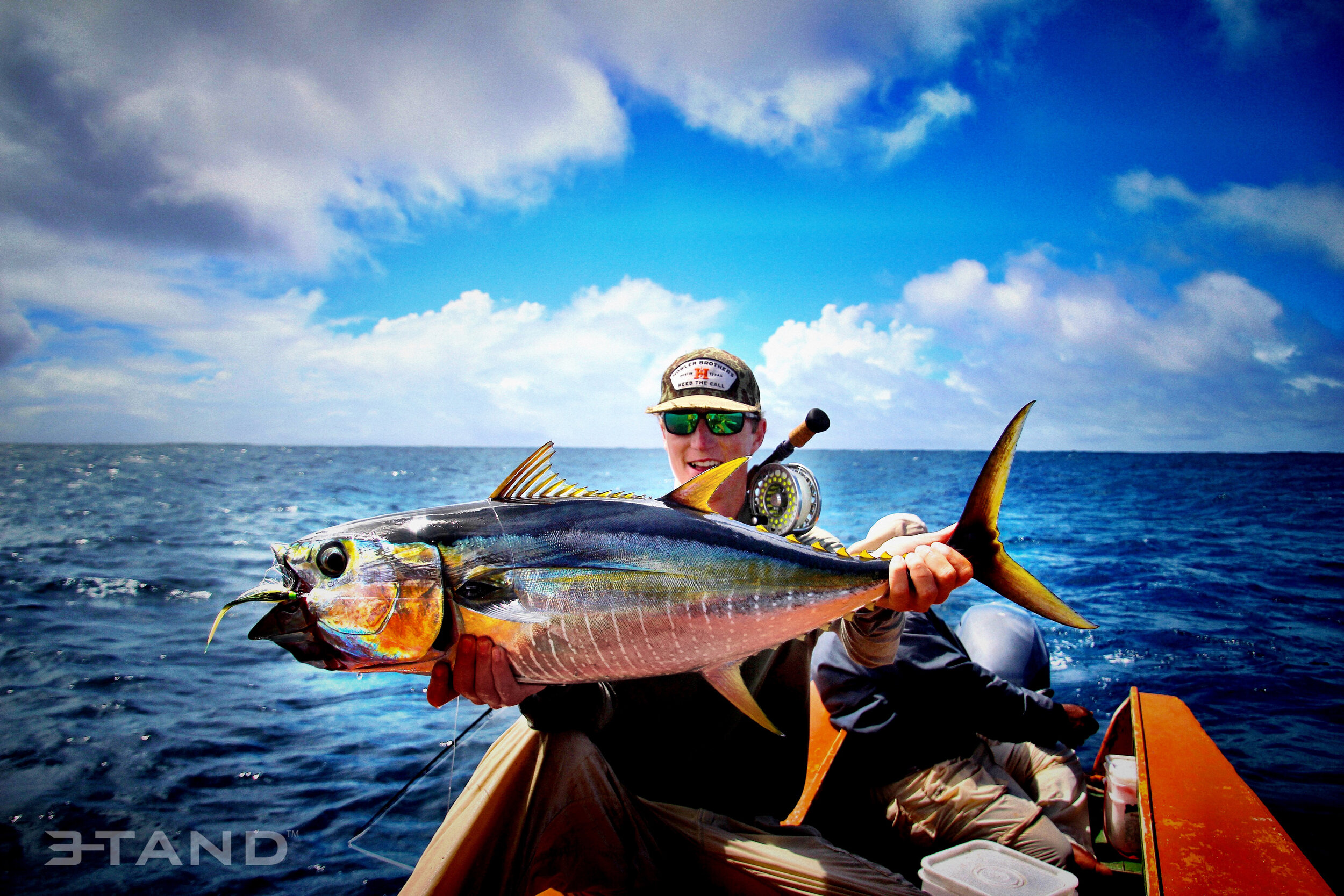 Knox and Yellowfin 1.jpg