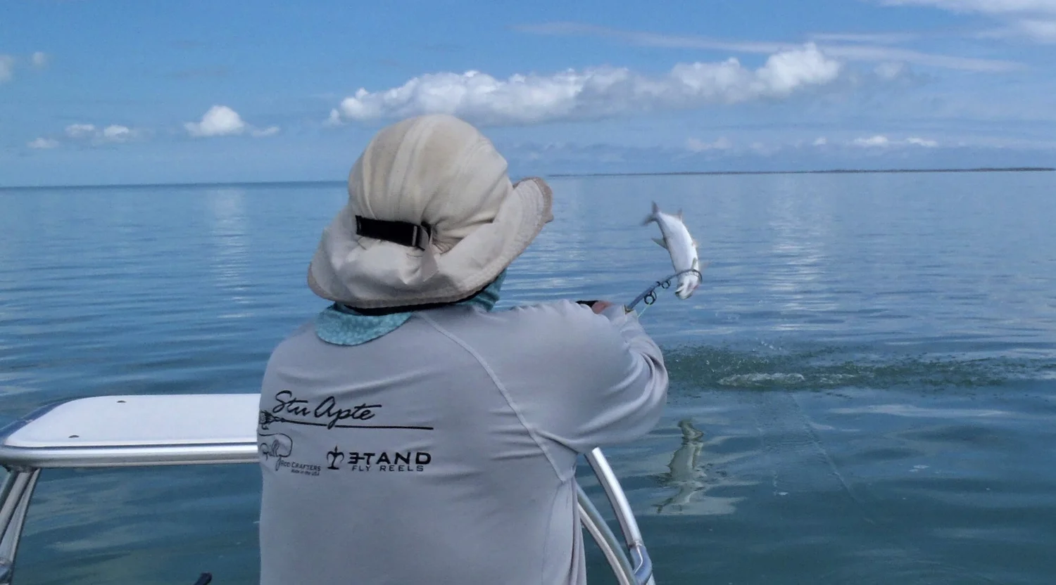new shimano stella sw 2018 New SHIMANO Stella is Announced! at Japan Fishing Show