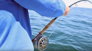 reel shimano sedona 4000 fd Shimano Sedona 4000 FD