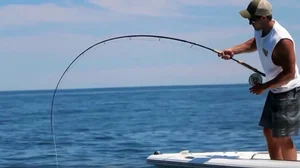 abu diplomat 278 fly reel Abu Garcia Diplomat 278 Fly Fishing Reel Made in Japan