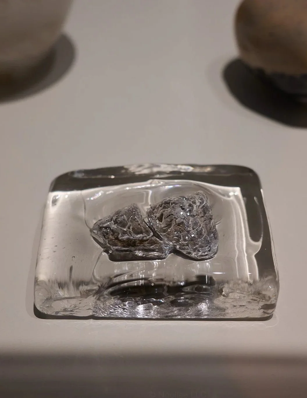 Detail: Attempts At Coexistence, 2024-2025, Glass, rocks from Israel, rope, copper, wood, nails