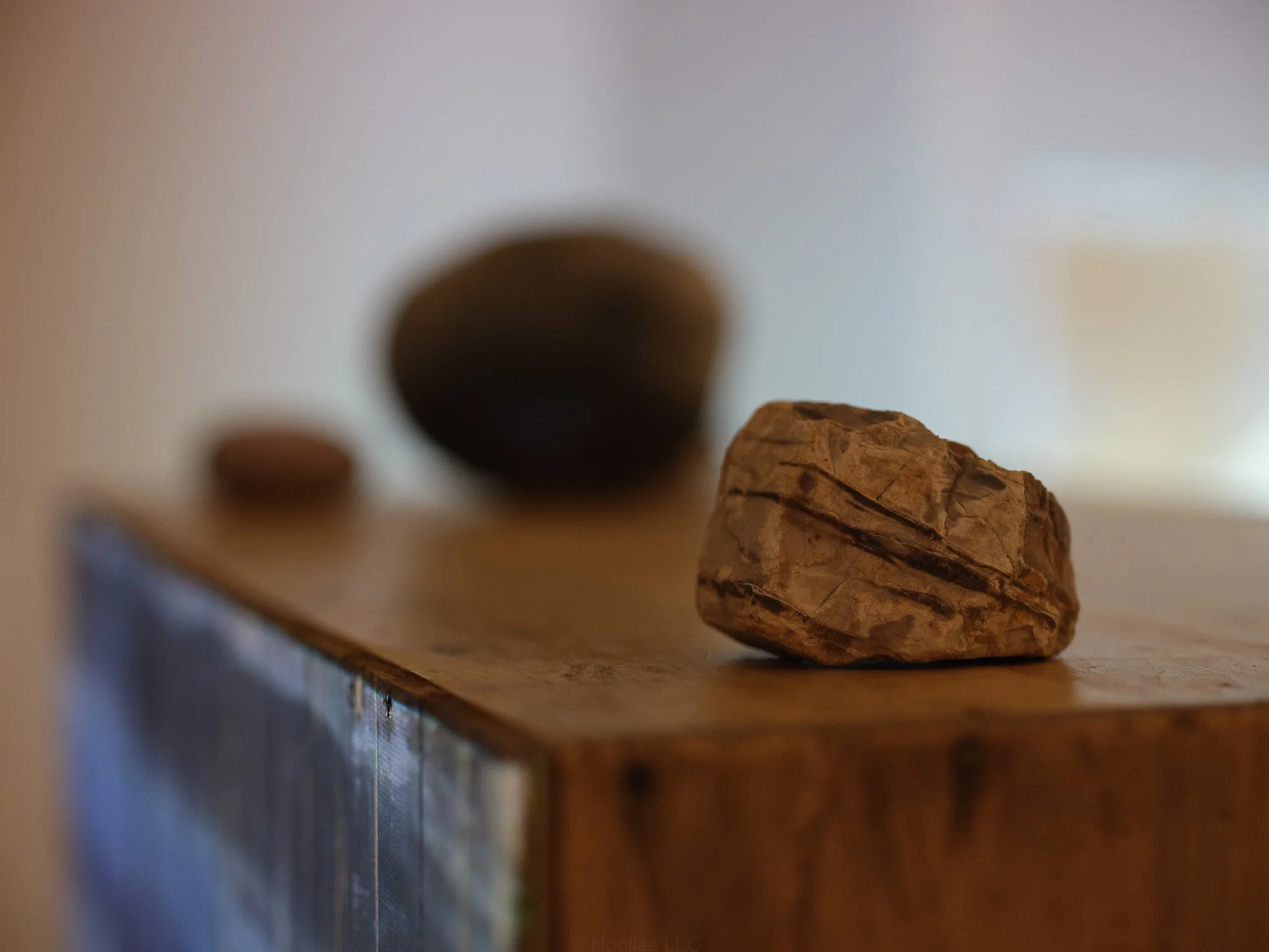 Installation detail from The Day Lasts More than a Thousand Sunsets by Artist Rae Stern. Photo by T Maxwell Wagner