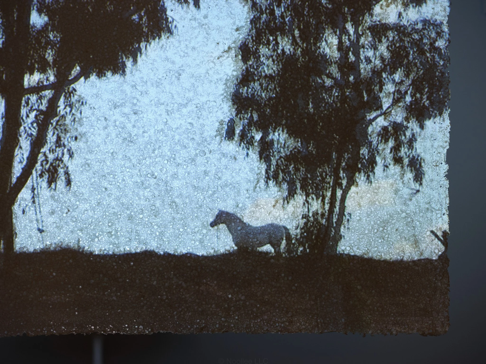 Detail: Swifter than Eagles, 2022–2023, Handmade paper, cotton thread, single-channel silent video projection, presented in an infinite loop