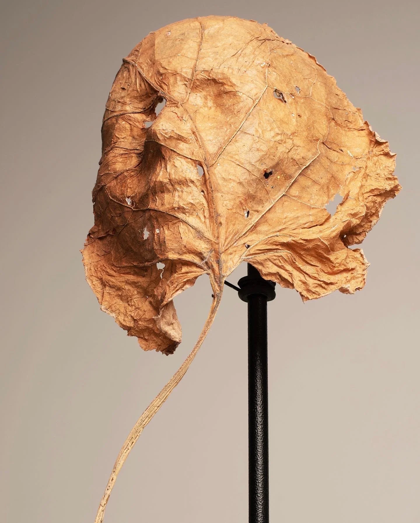 Aussenwelt - Lilian Cuer.14.JPG