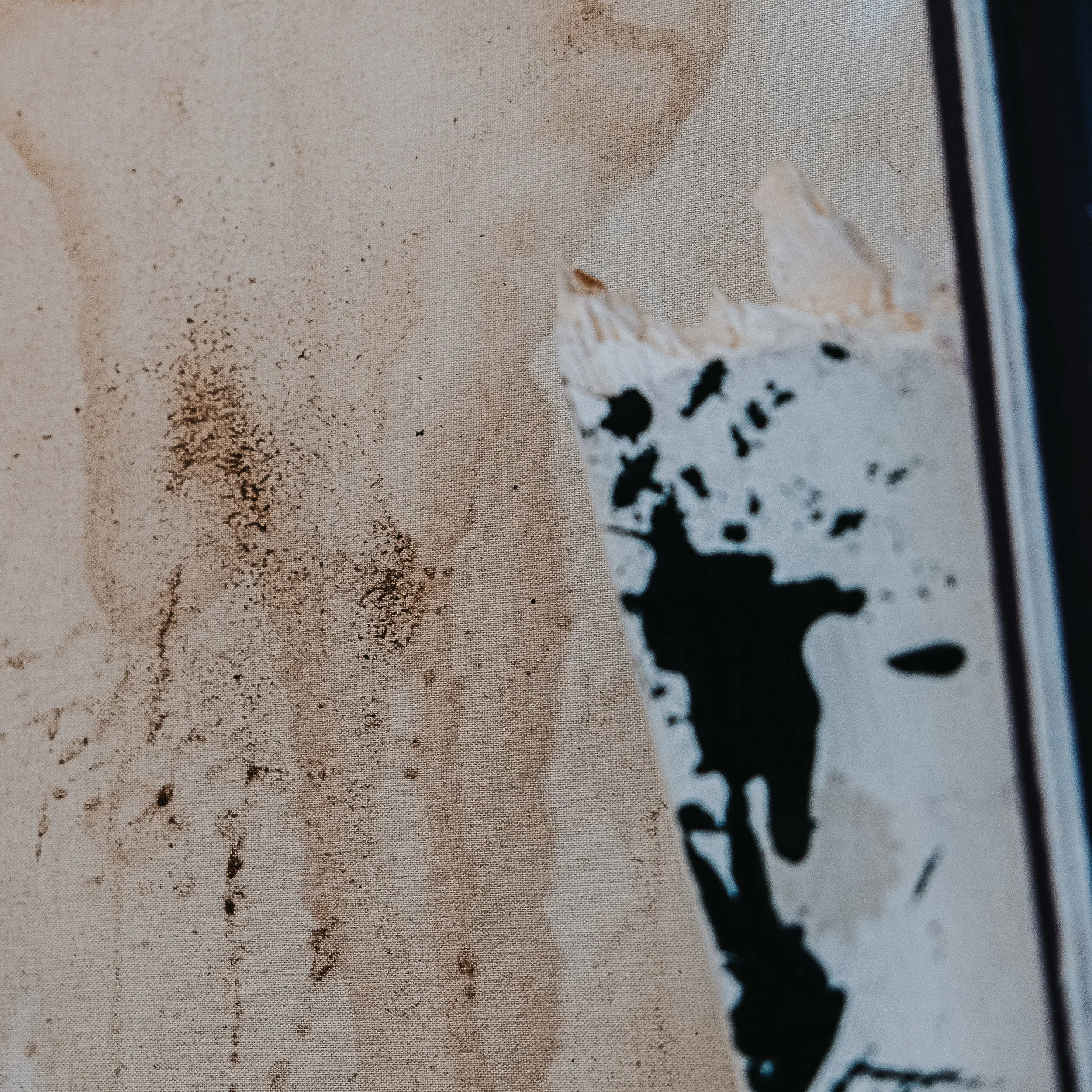 Aussenwelt - Jules Belf.8.JPG