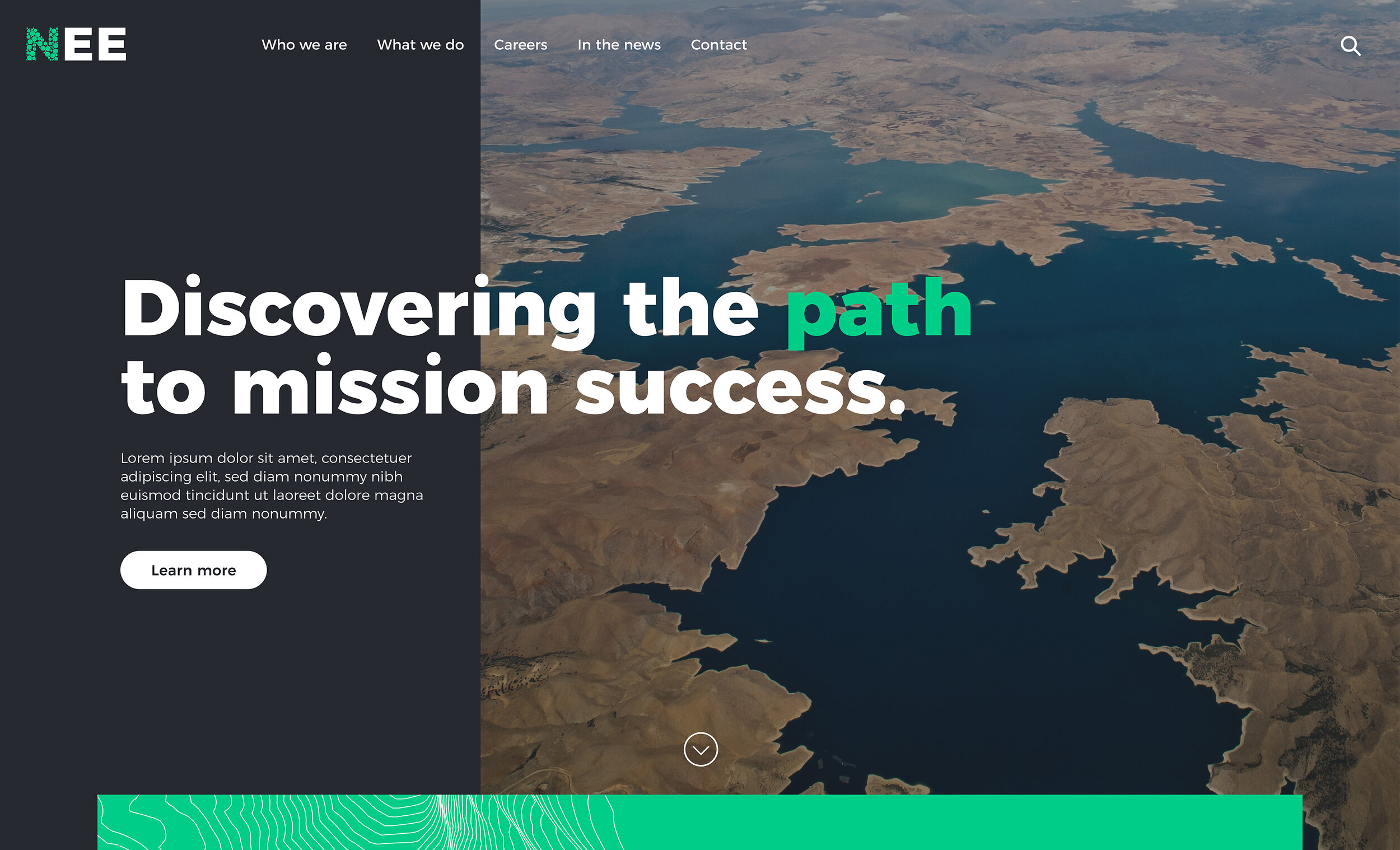NEE_Homepage design_wide-01_lores.jpg