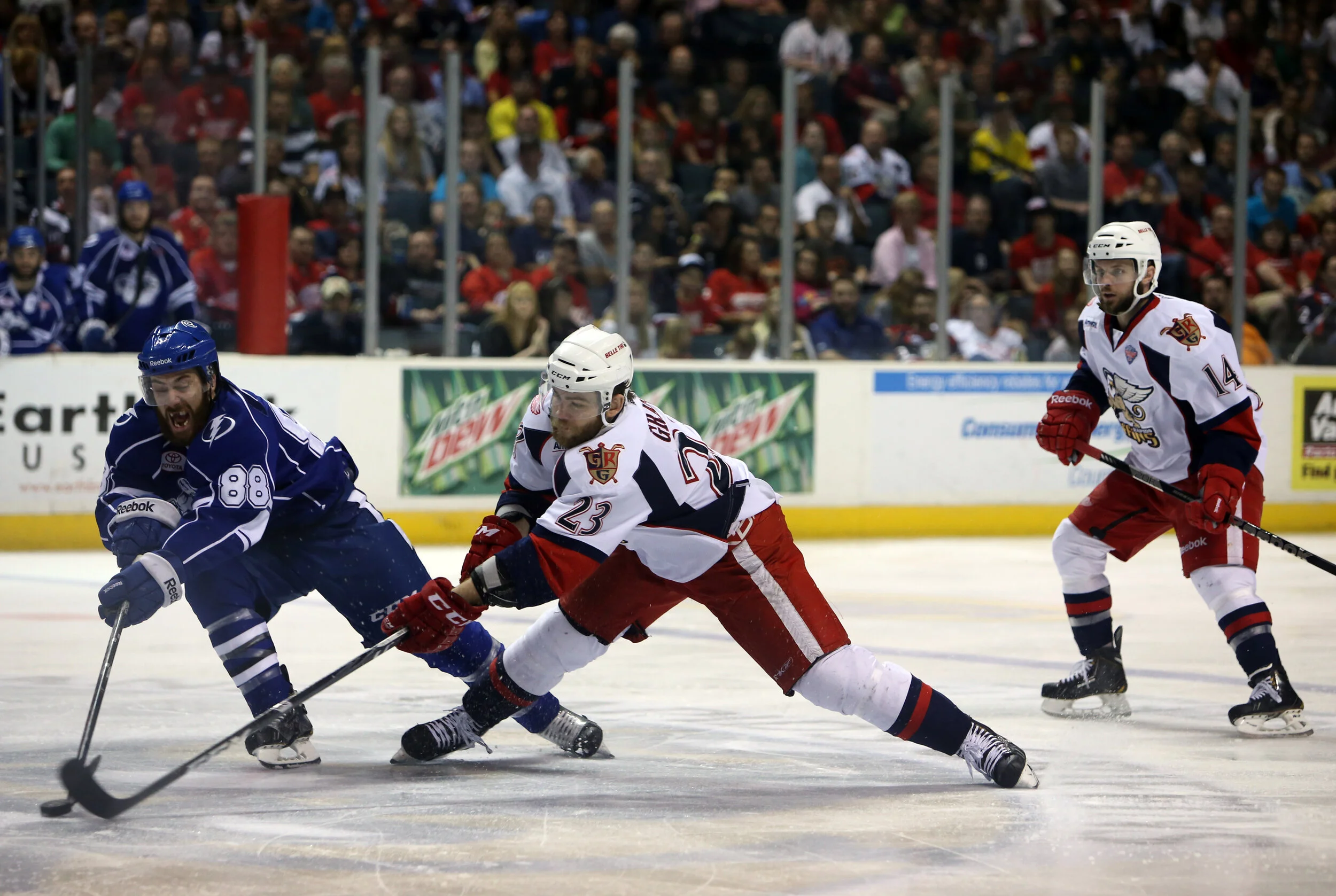 Griffins7.jpg