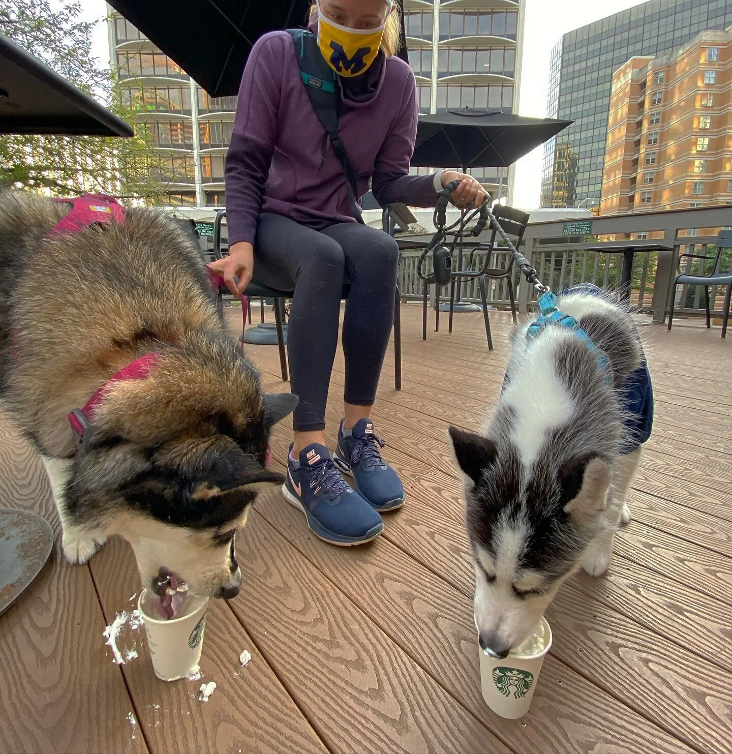 Game day (〽️) calls for puppuccinos ☕️ @hannah.elaine.mathews @amaizingshotsoftequia @starbucks