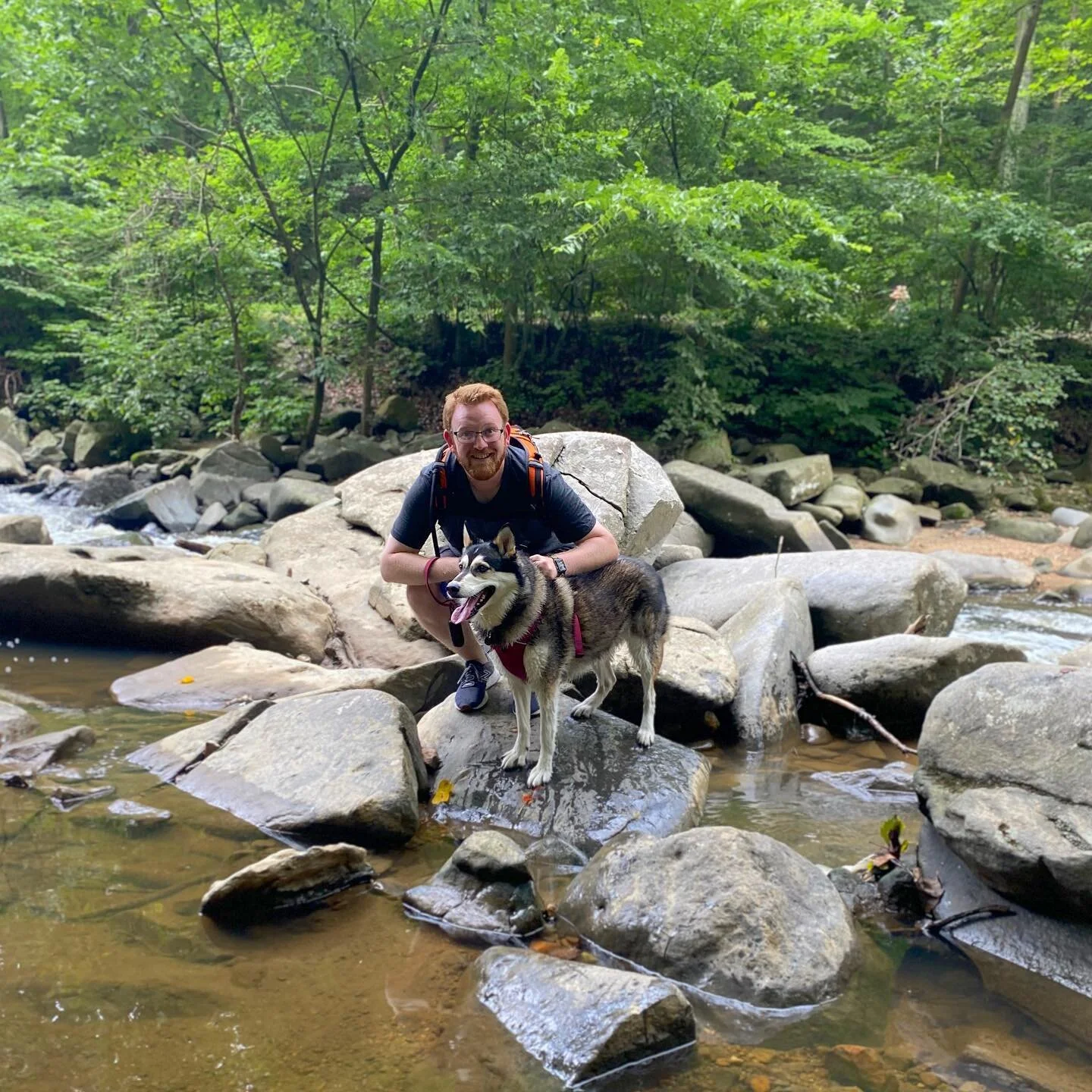 Found myself a wet dog in #rockcreekpark today. I think I&rsquo;ll keep her! 🐶 @shotsoftequia 📸 @hannah.elaine.mathews