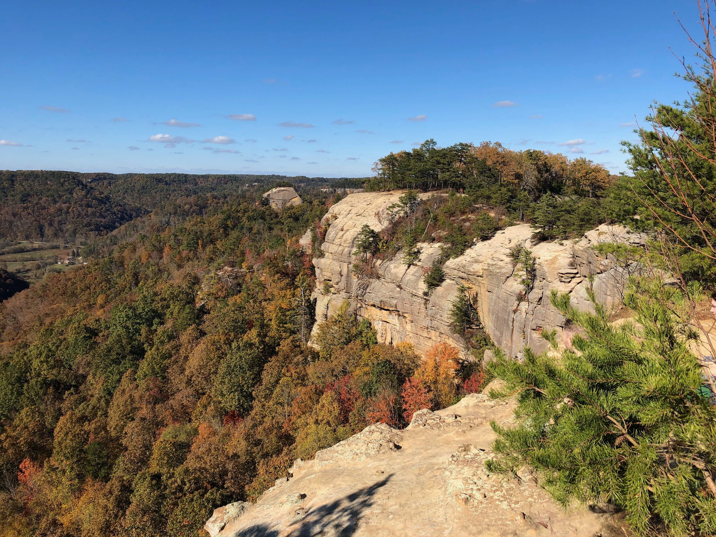 View of a canyon with colorful autumn trees and large rock formations under a clear blue sky.