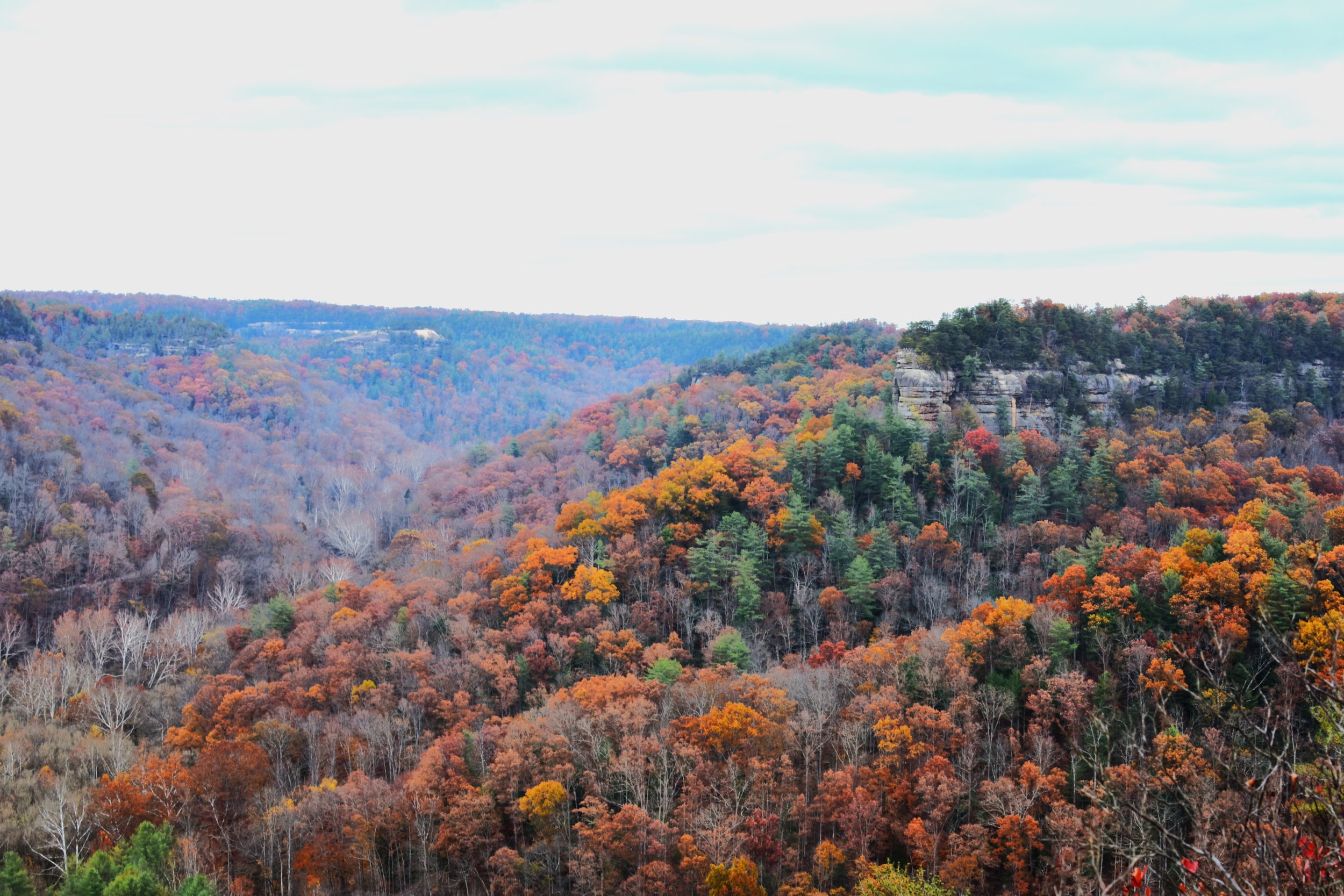 Scenic view of a forested valley during autumn with colorful fall foliage and a rocky cliff on the right.