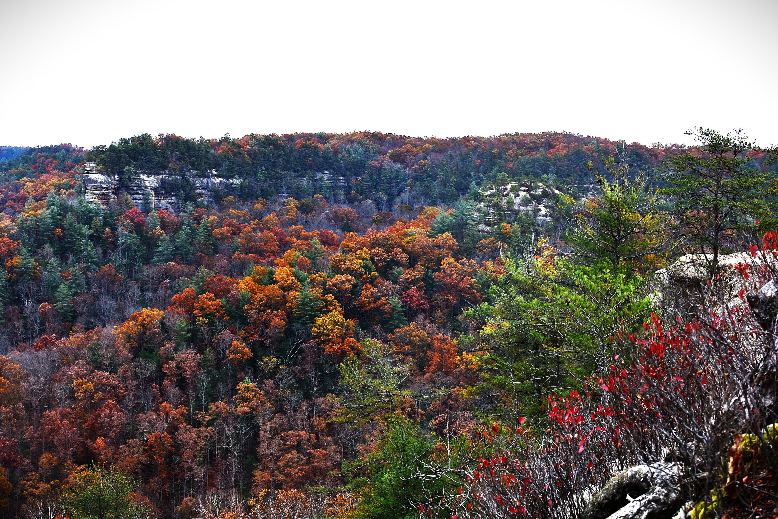 A scenic view of a forested mountain in autumn with colorful fall foliage in shades of orange, red, yellow, and green, and cliffs in the background under a clear sky.