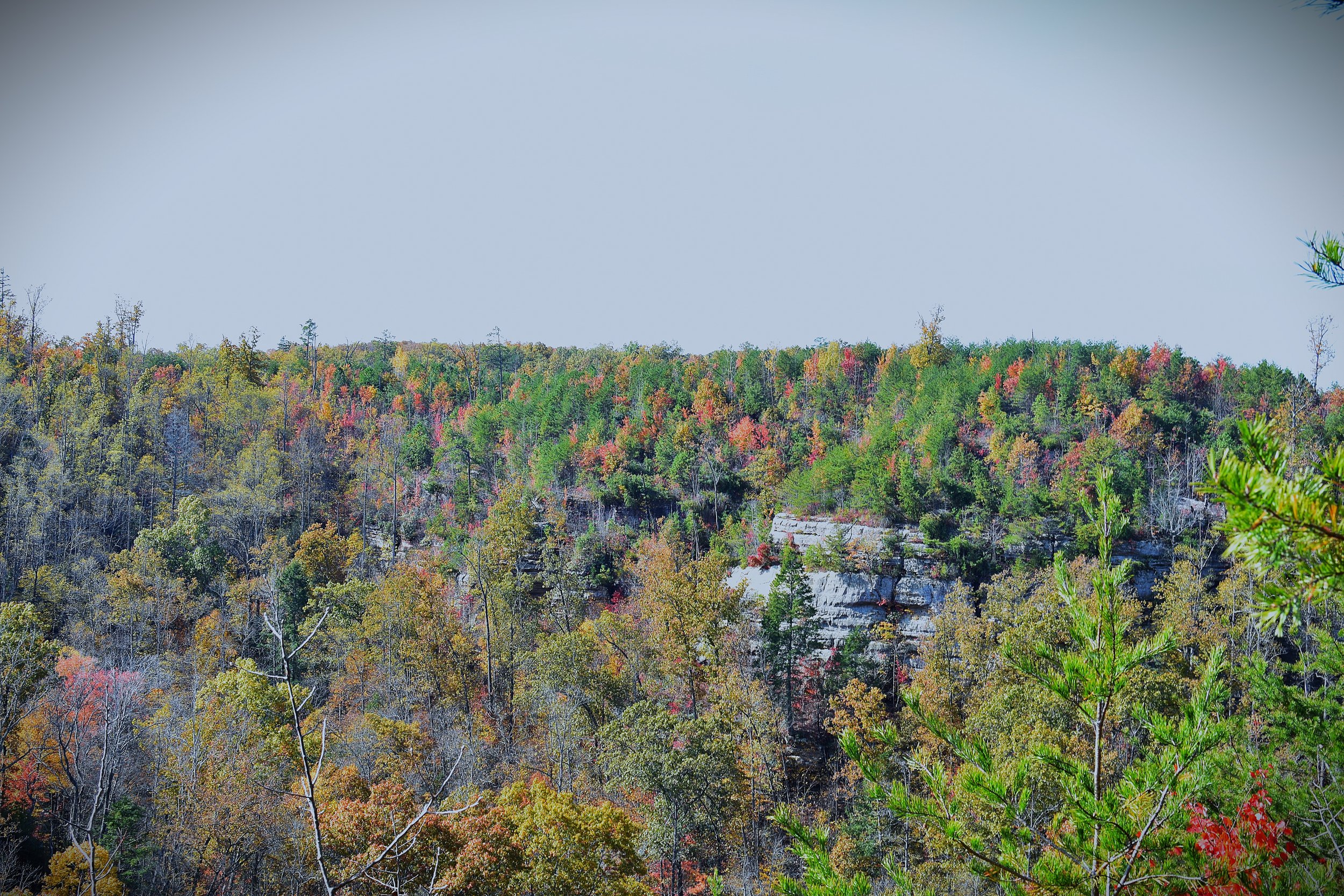 A landscape of forested hills with trees displaying fall colors, under a clear blue sky.