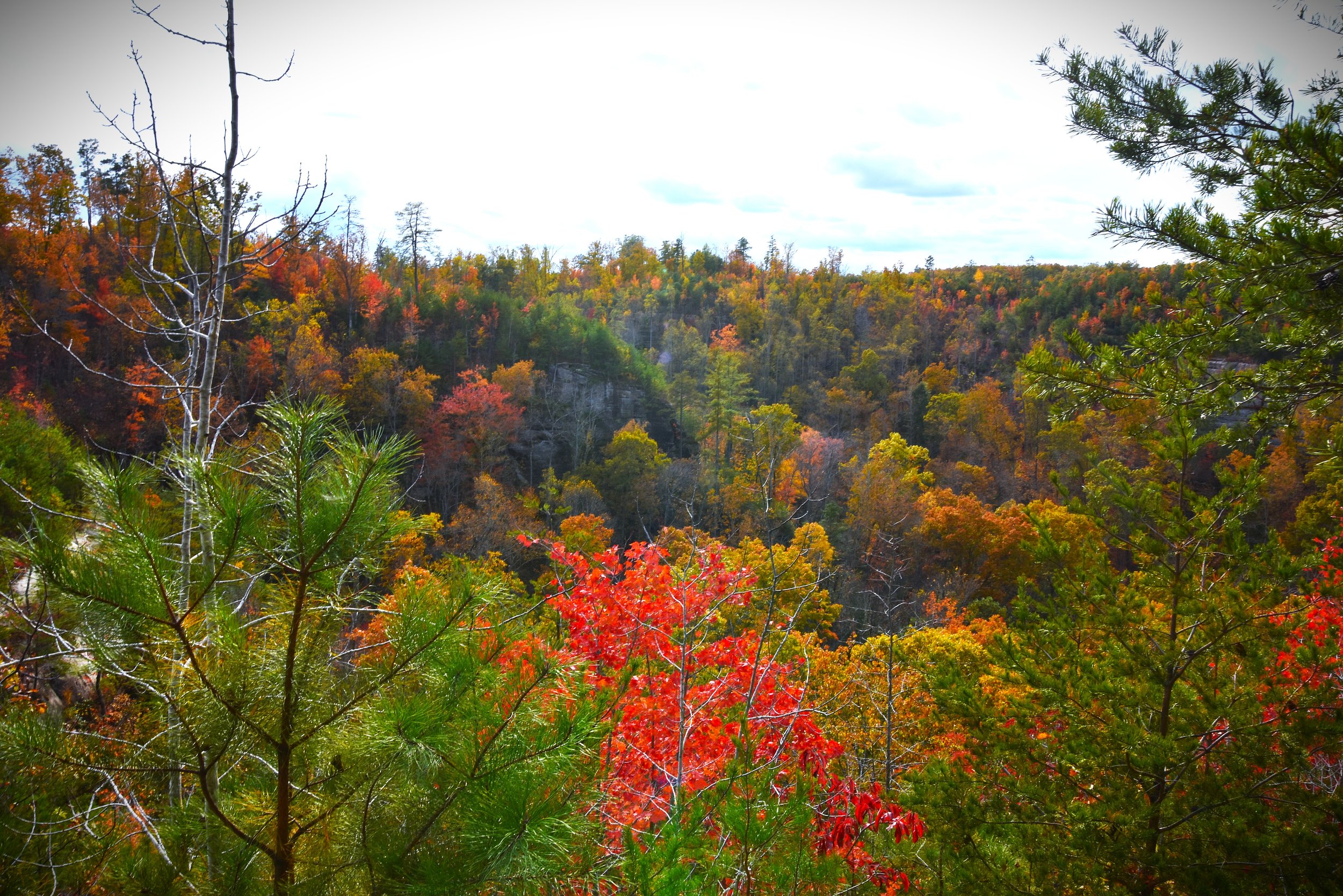 A colorful autumn landscape with trees displaying fall foliage in shades of red, orange, yellow, and green on a hillside under a partly cloudy sky.