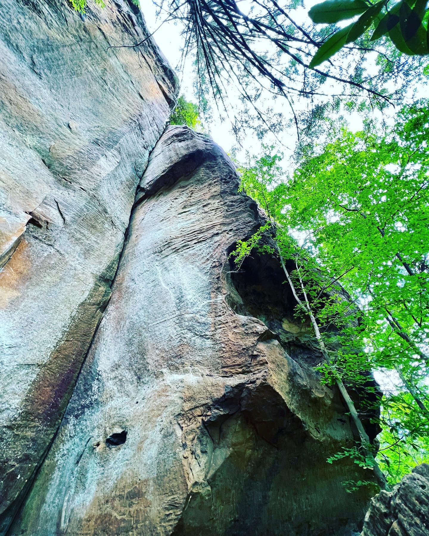 Looking up at a tall rock face in a forest with green trees and leaves surrounding it.