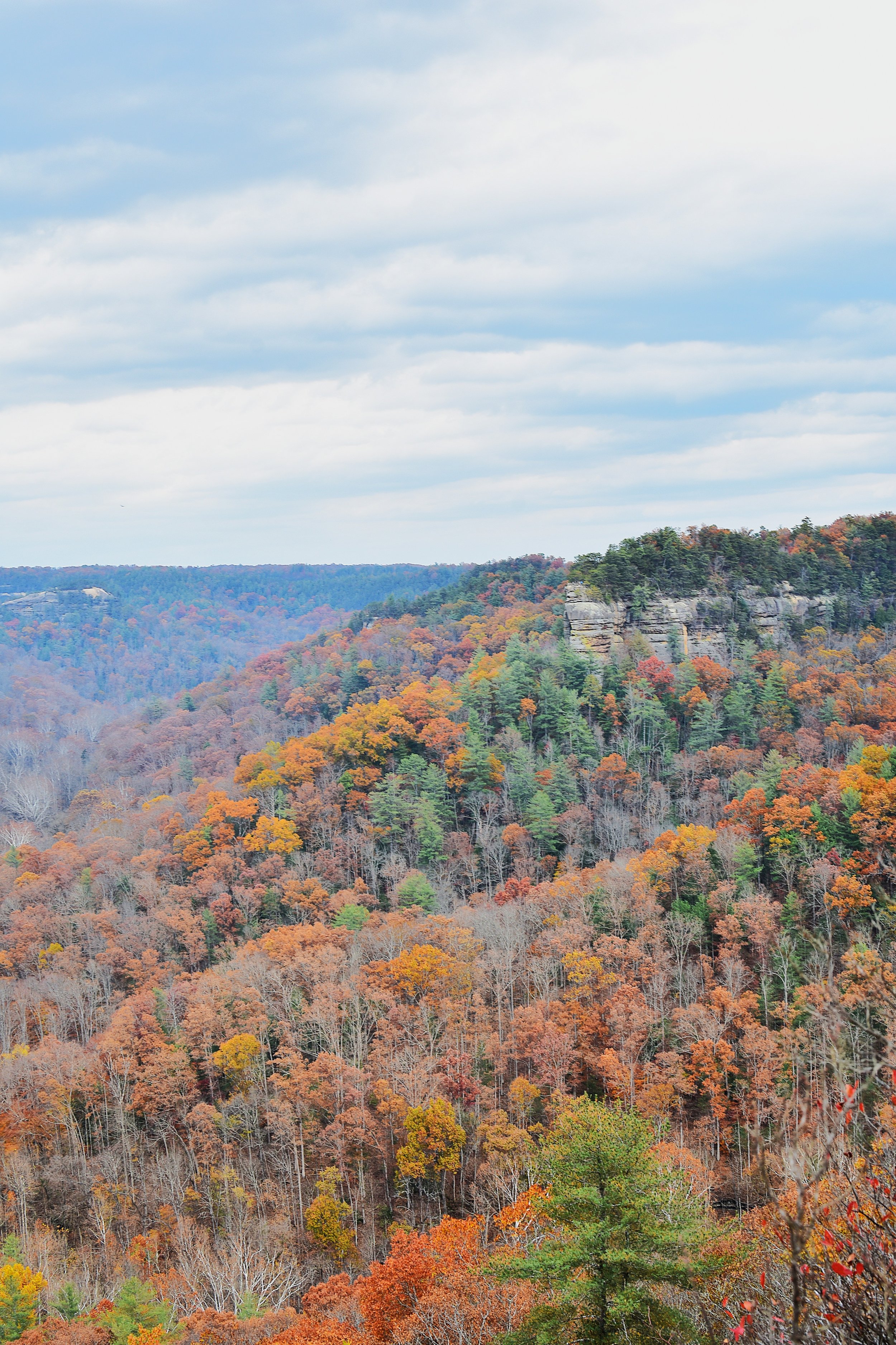 A scenic view of a forested canyon with autumn-colored trees, rock formations, and a cloudy sky.