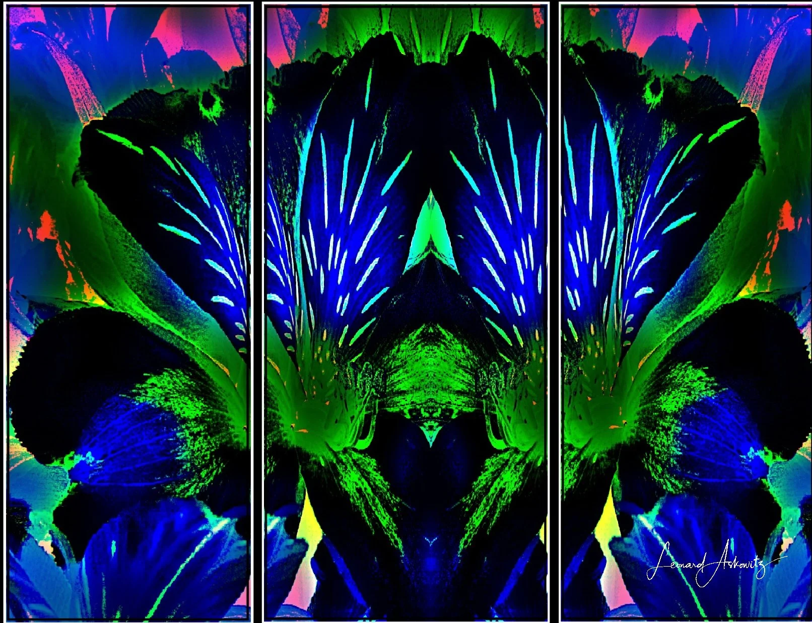 BLUE GREEN PARADISE