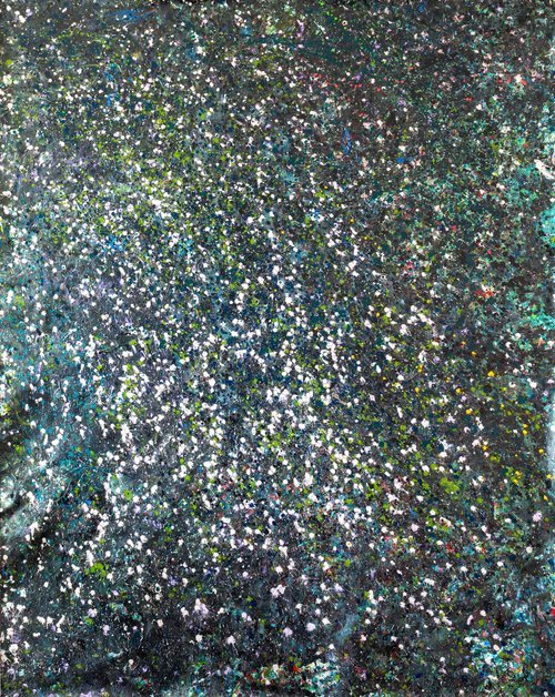 Where+the+Stars+are+Born+71x89.jpg