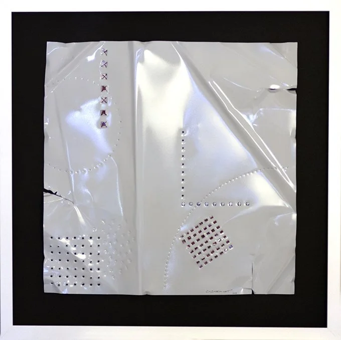 Foto Cosmos VIII.JPG