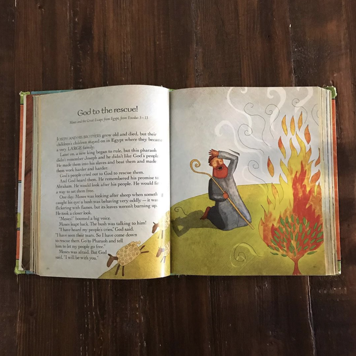 This Week in Kid City | May 11